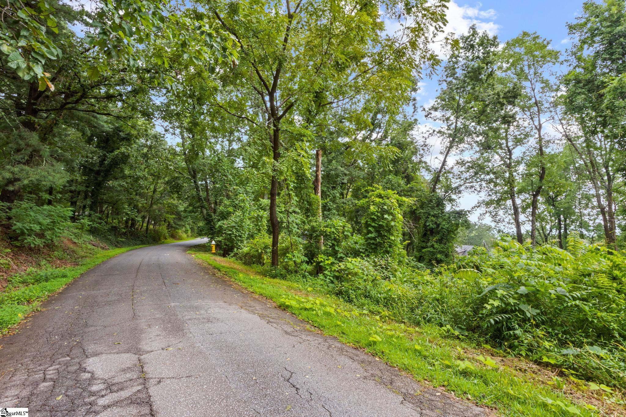 4841 Chestnut Ridge Road Greenville, SC 29609 - Photo 3 of 8