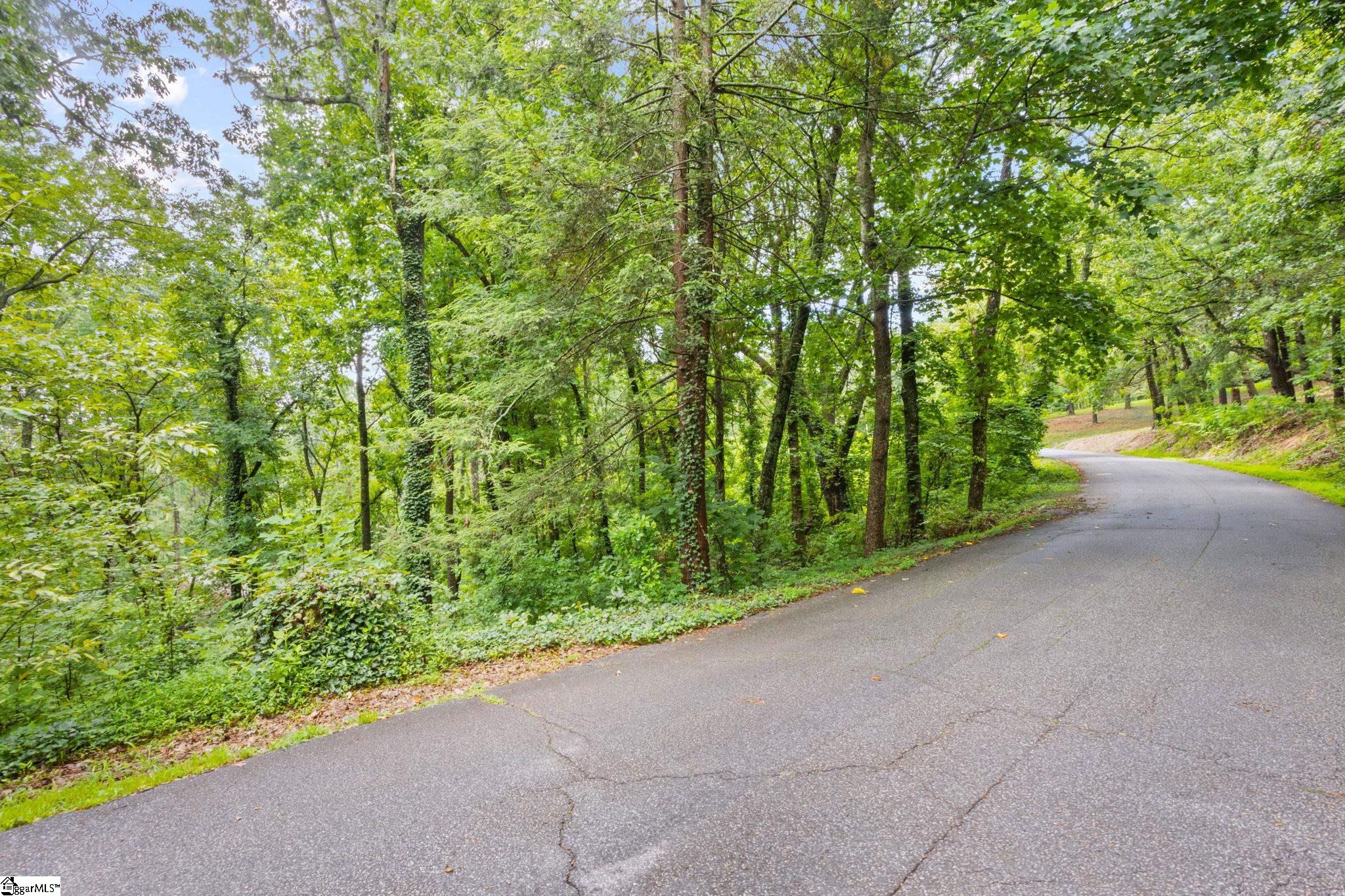 4841 Chestnut Ridge Road Greenville, SC 29609 - Photo 4 of 8