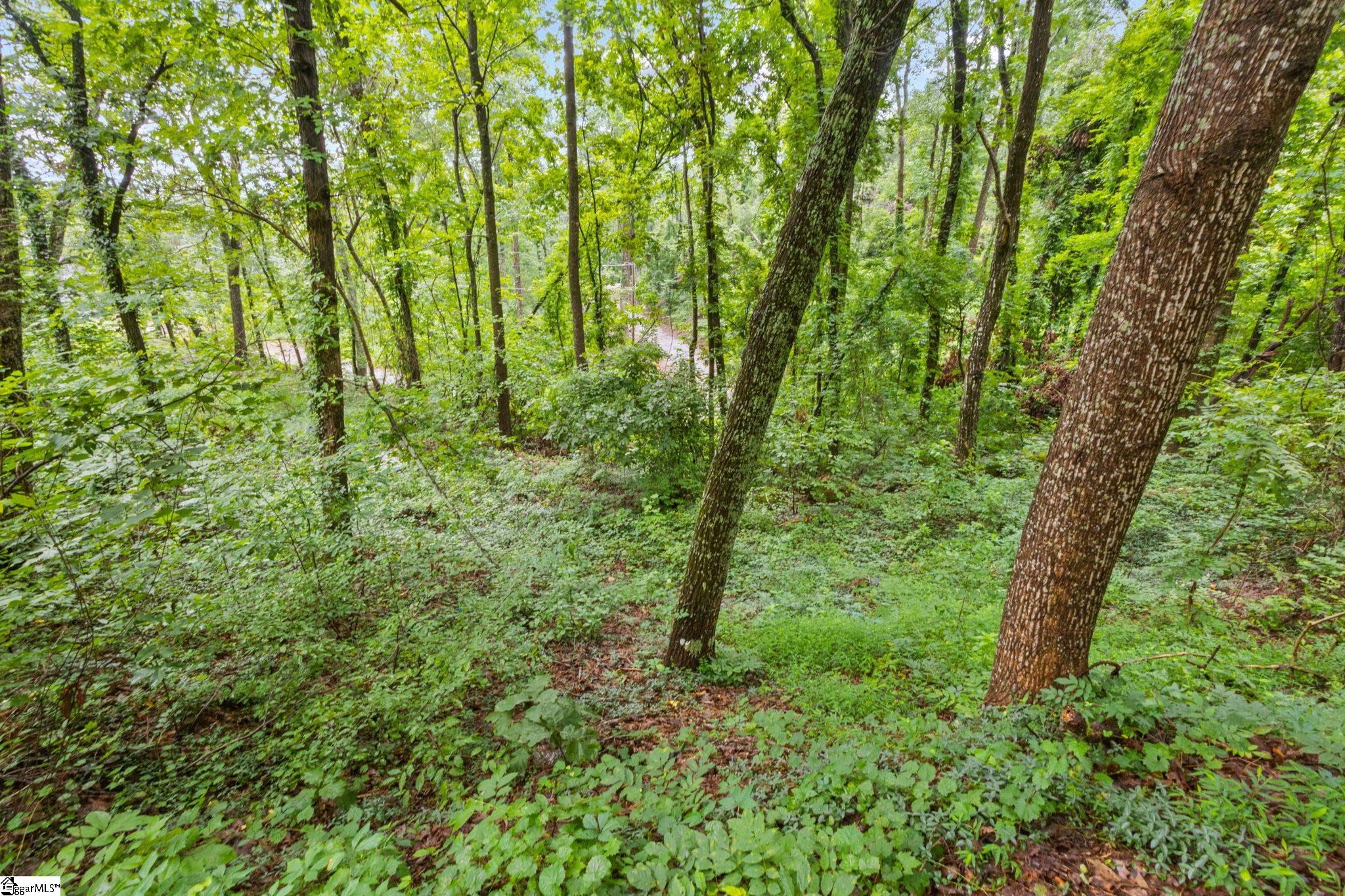 4841 Chestnut Ridge Road Greenville, SC 29609 - Photo 5 of 8