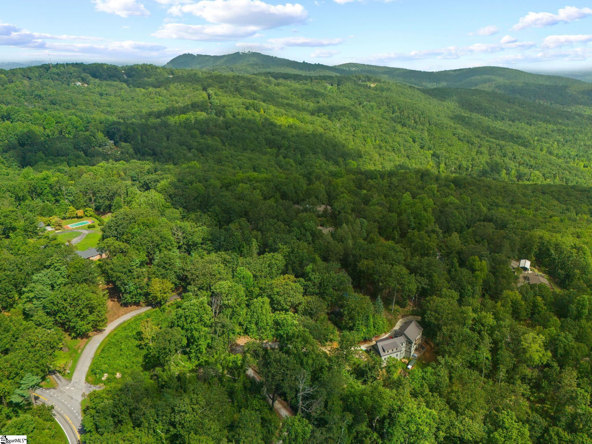 4841 Chestnut Ridge Road Greenville, SC 29609 - Photo 8 of 8