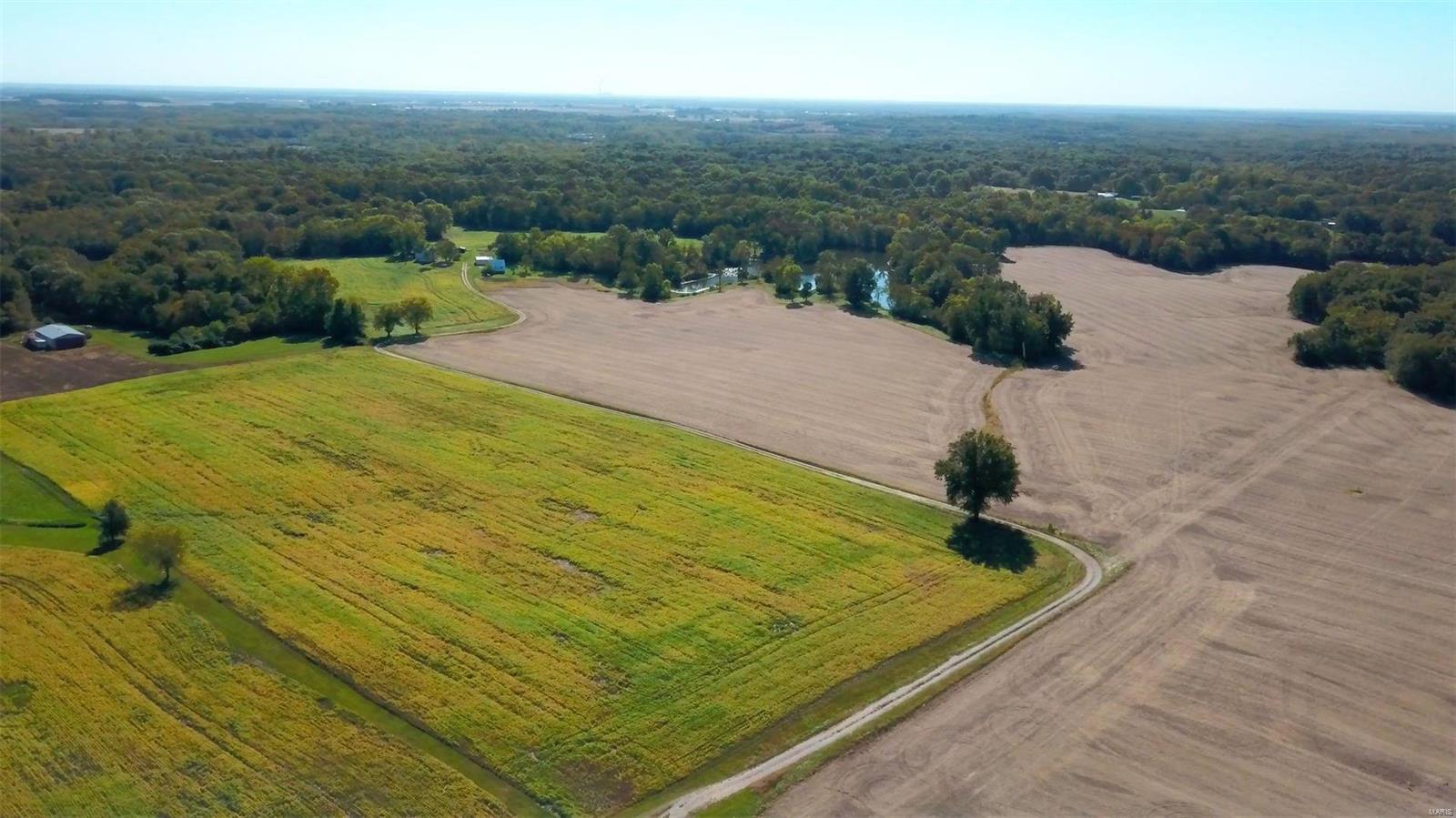 7822 Jacks Run Road Freeburg, IL 62243 - Photo 3 of 38