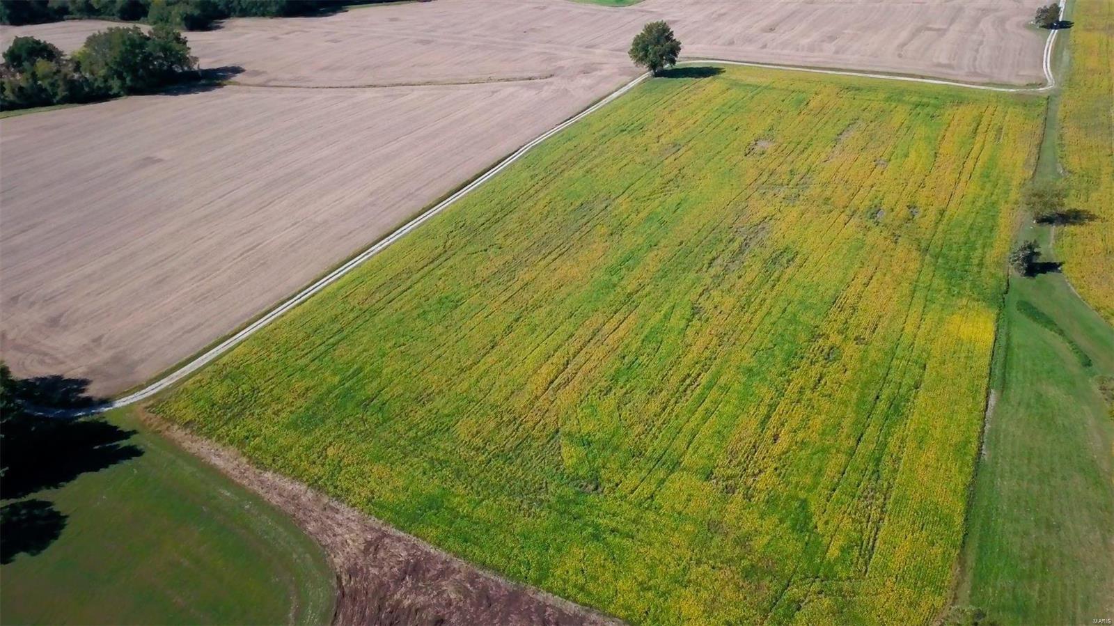 7822 Jacks Run Road Freeburg, IL 62243 - Photo 5 of 38