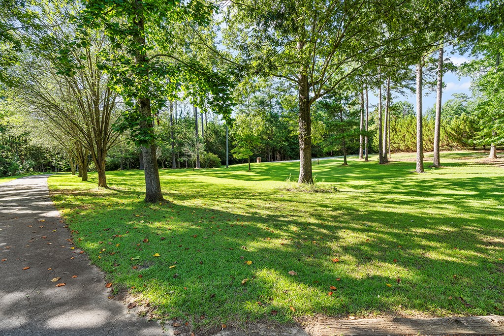 301 Cove Road Greenwood, SC 29646 - Photo 37 of 39 Gallery Image 37