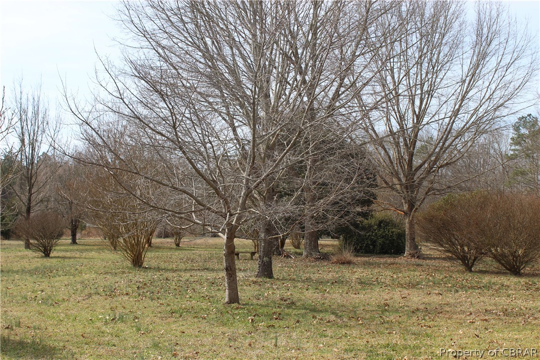 0 Lees Neck Farm Road Saluda, VA 23149 - Photo 5 of 7