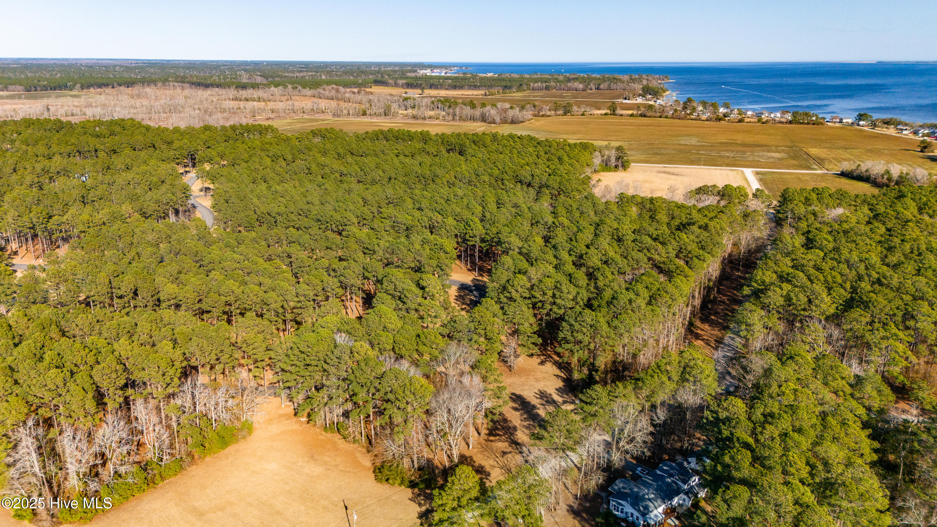 157 Corolla Loop Road Arapahoe, NC 28510 - Photo 12 of 13 C21 Aerials-4