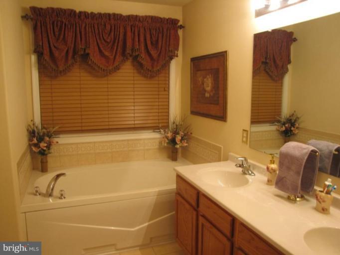 6 Vince Court Elkton, MD 21921 - Photo 18 of 21 a bathroom with a sink and a bathtub