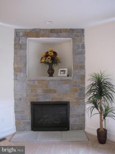 6 Vince Court Elkton, MD 21921 - Photo 8 of 21 a table with a fireplace and a potted plant on it