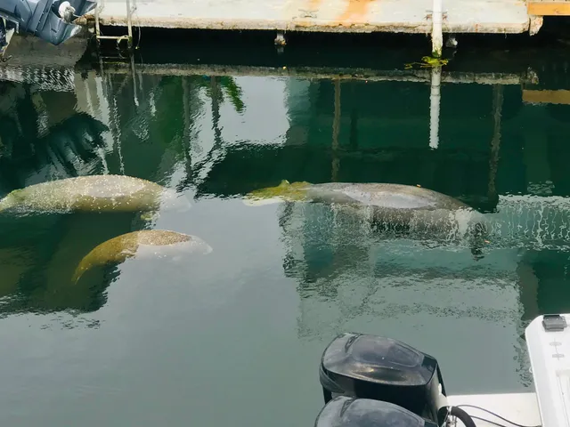 a view of a lake from a balcony