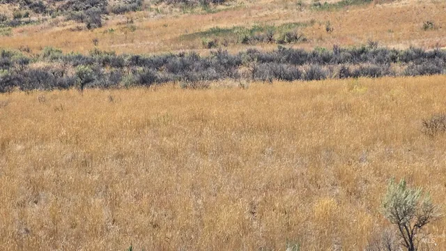 $240,000 | 1650 South 3100 Street, Aberdeen, ID 83210