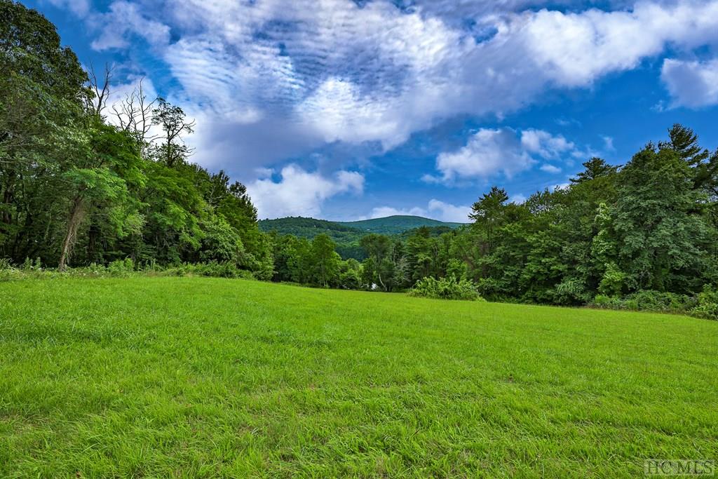 Tbd Hale Ridge Road Scaly Mountain, NC 28775 - Photo 2 of 11 Gallery Image 2