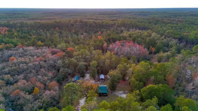 $475,000 | 38134 Southwest Forest Road 123, Bristol, FL 32321