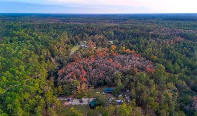 $475,000 | 38134 Southwest Forest Road 123, Bristol, FL 32321