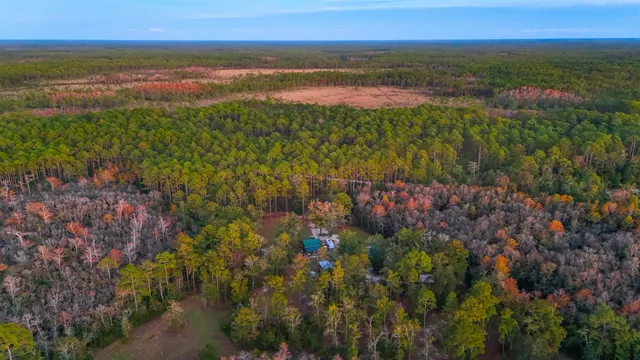 $475,000 | 38134 Southwest Forest Road 123, Bristol, FL 32321