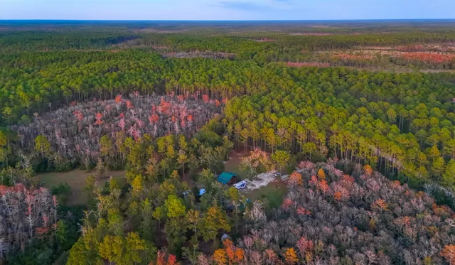 $475,000 | 38134 Southwest Forest Road 123, Bristol, FL 32321