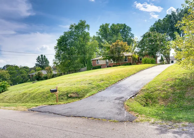 a view of a backyard