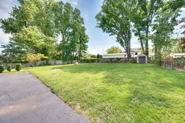 a view of a park with large trees