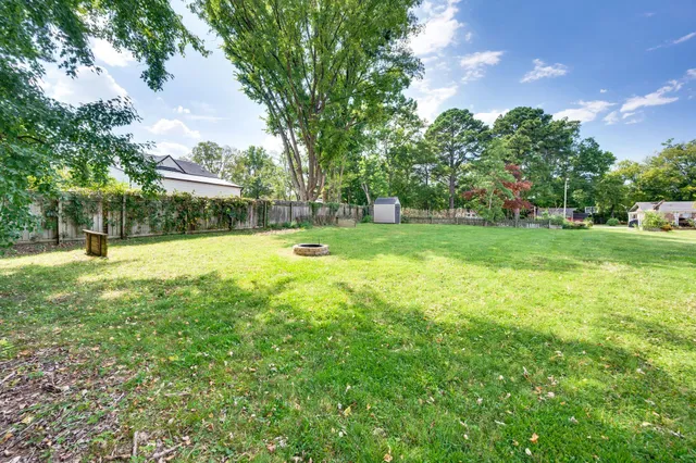 a view of a park with large trees