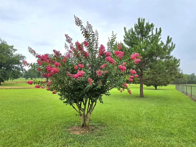 $279,000 | 110 Red Bud Street, Shepherd, TX 77371