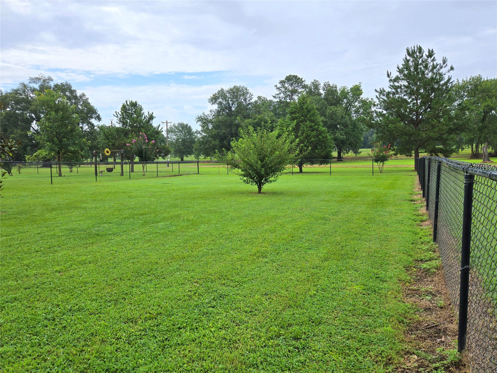110 Red Bud Street Shepherd, TX 77371 - Photo 17 of 48