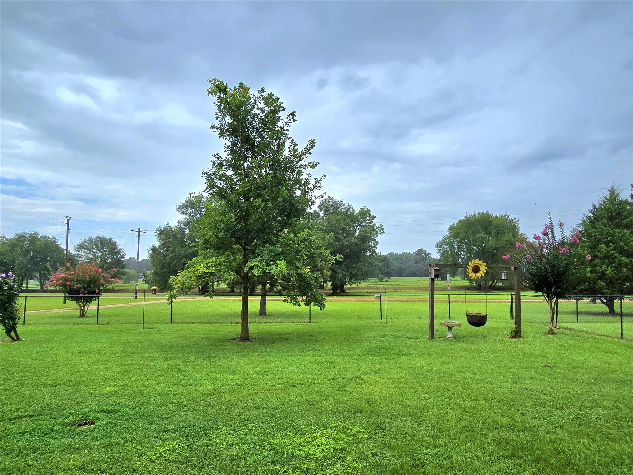 110 Red Bud Street Shepherd, TX 77371 - Photo 19 of 48