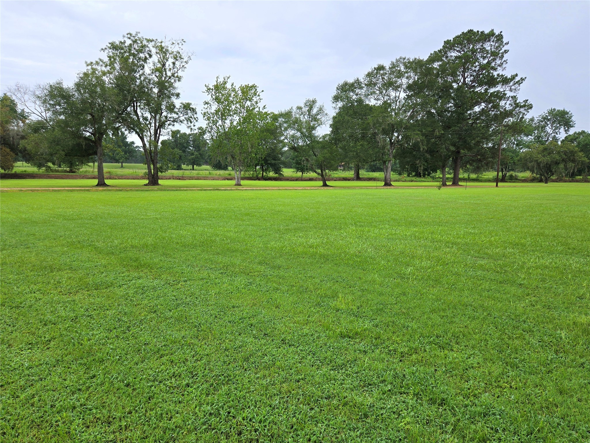 110 Red Bud Street Shepherd, TX 77371 - Photo 21 of 48