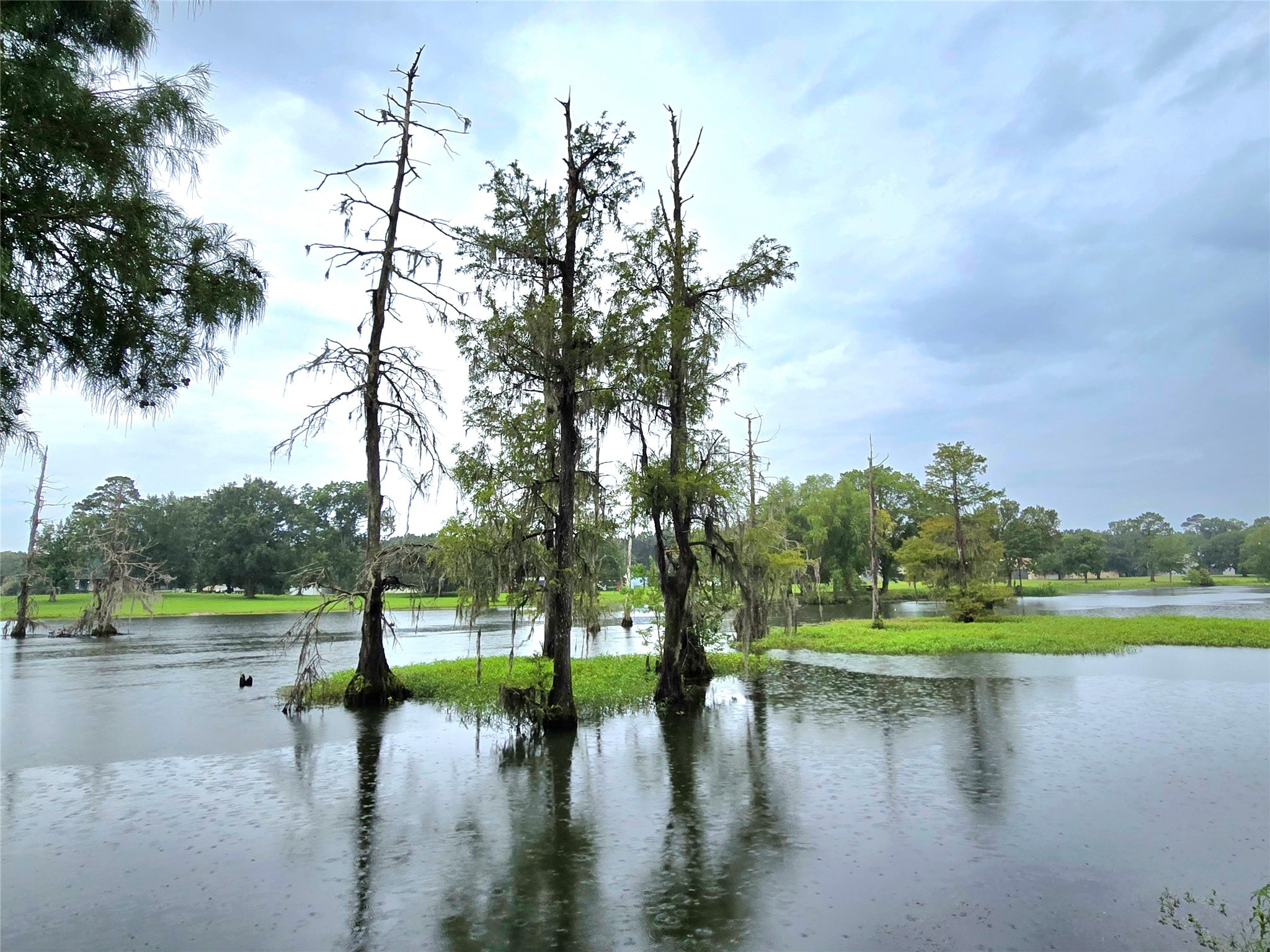 110 Red Bud Street Shepherd, TX 77371 - Photo 47 of 48 Lake Waterwheel