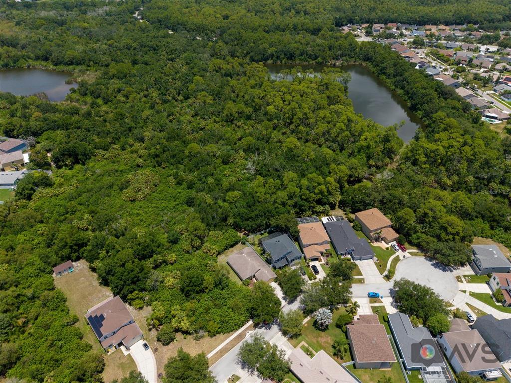 12415 Rustic View Court Tampa, FL 33635 - Photo 65 of 70 Gallery Image 65