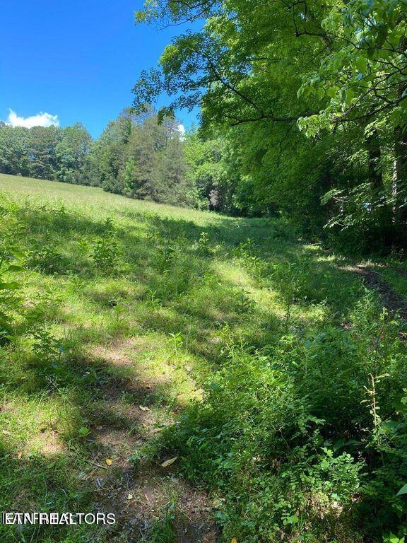 Lot 8 Chapman Road La Follette, TN 37766 - Photo 2 of 3 lot6