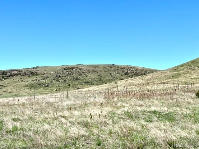 11977 Haskell Creek Road Larkspur, CO 80118 - Photo 15 of 29