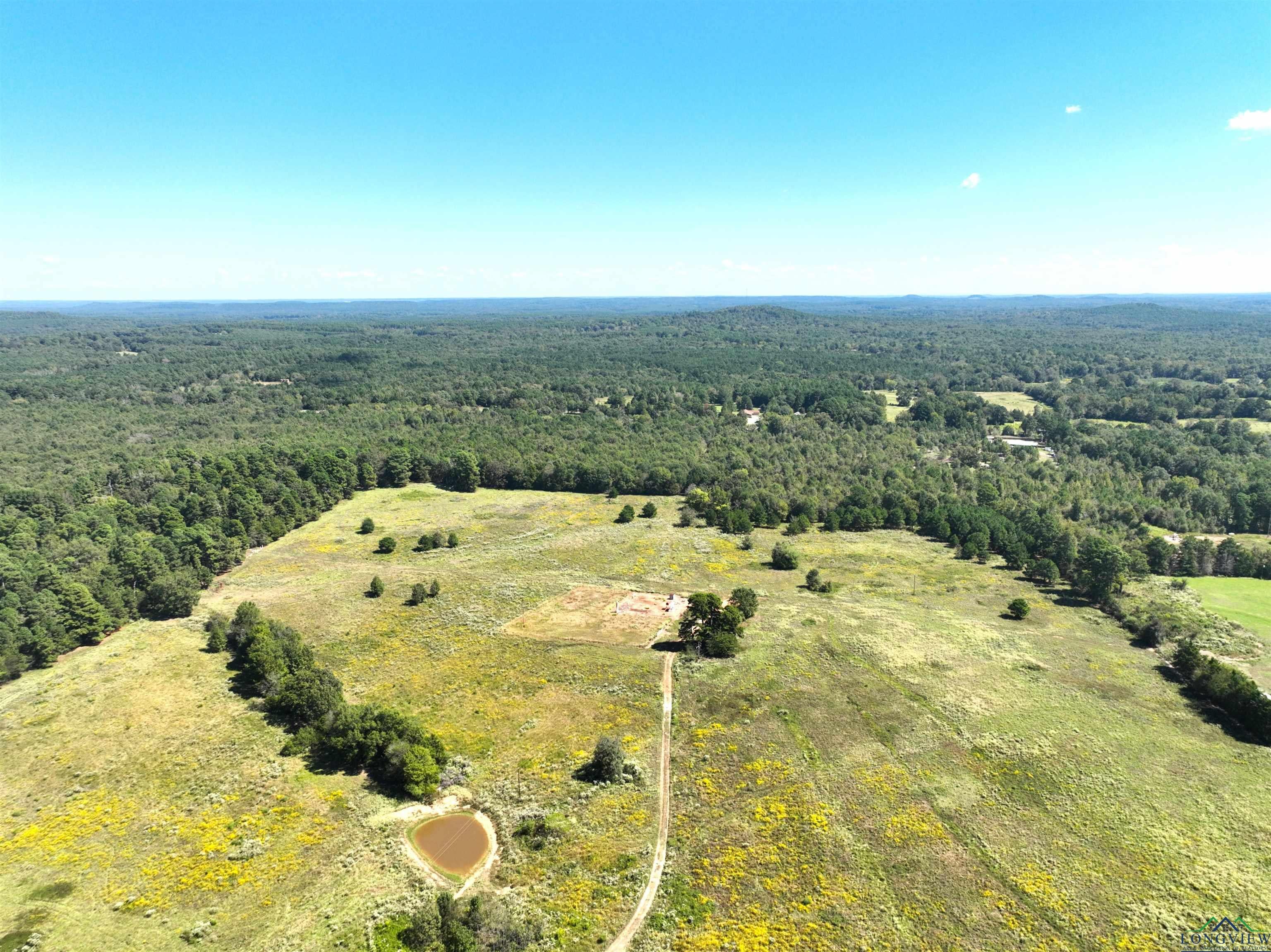 Tbd Ginger Road Gilmer, TX 75644 - Photo 7 of 27 Gallery Image 7