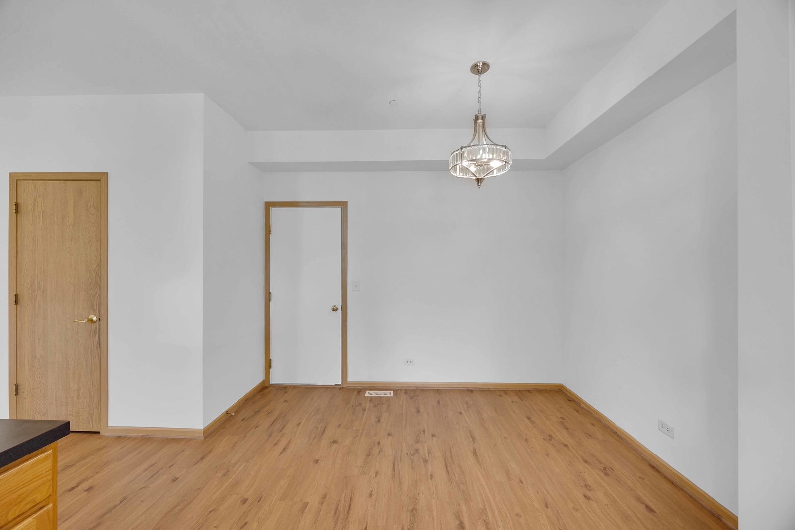 21143 Gray Hawk Drive Matteson, IL 60443 - Photo 11 of 22