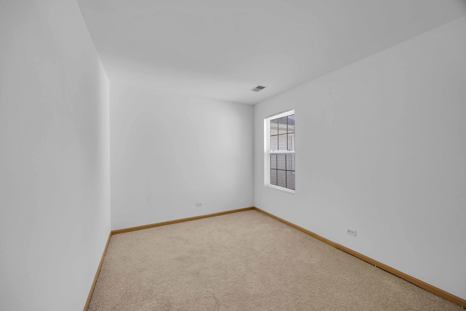 21143 Gray Hawk Drive Matteson, IL 60443 - Photo 15 of 22