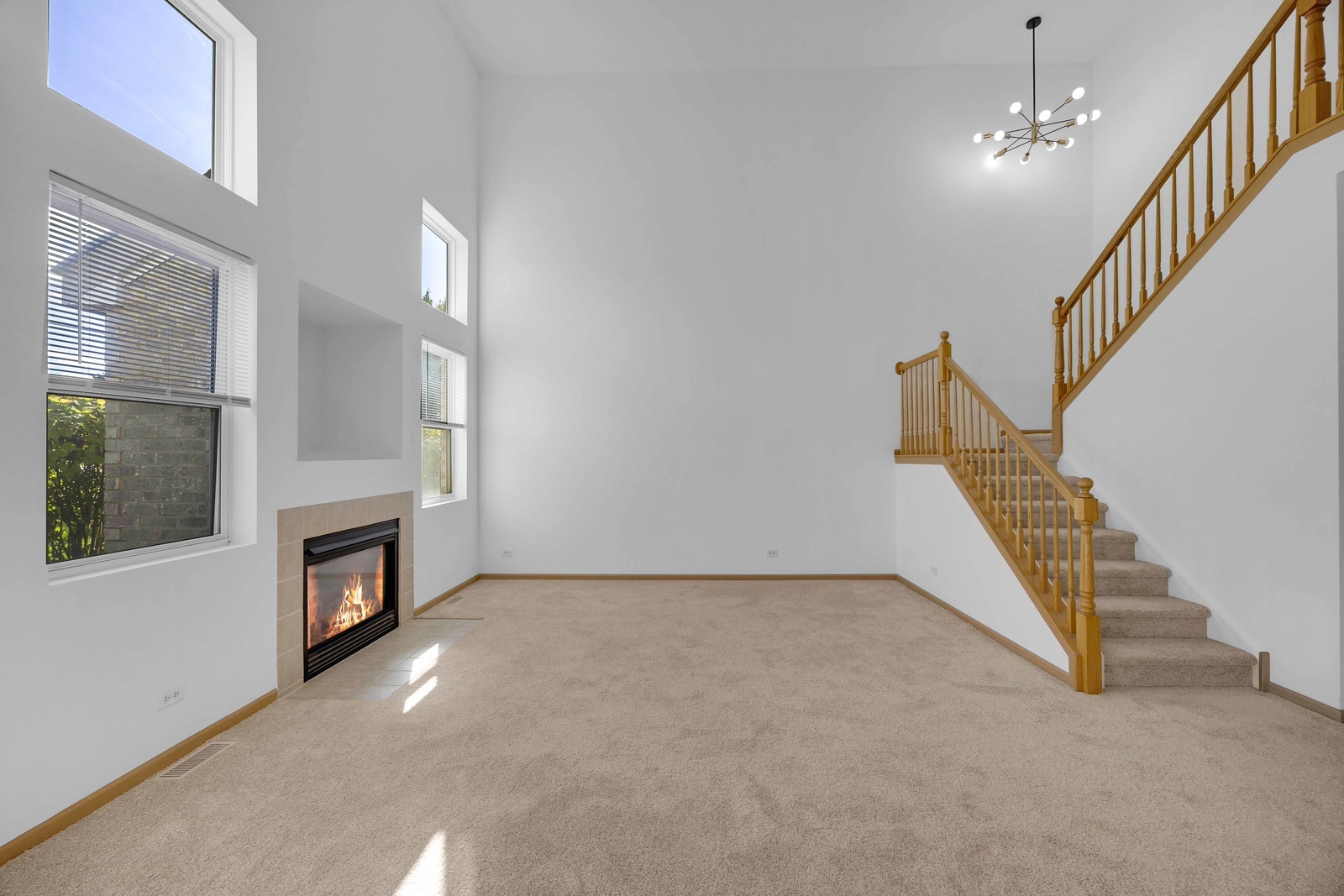 21143 Gray Hawk Drive Matteson, IL 60443 - Photo 5 of 22