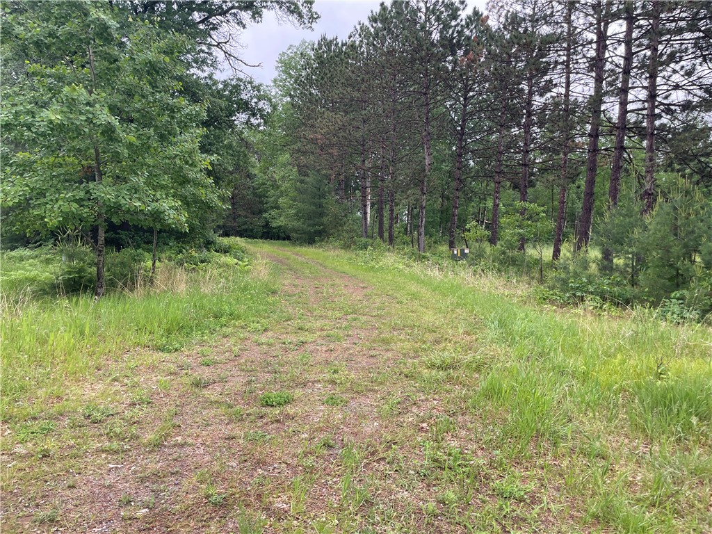 0 Loon Lake Road Spooner, WI 54801 - Photo 12 of 28