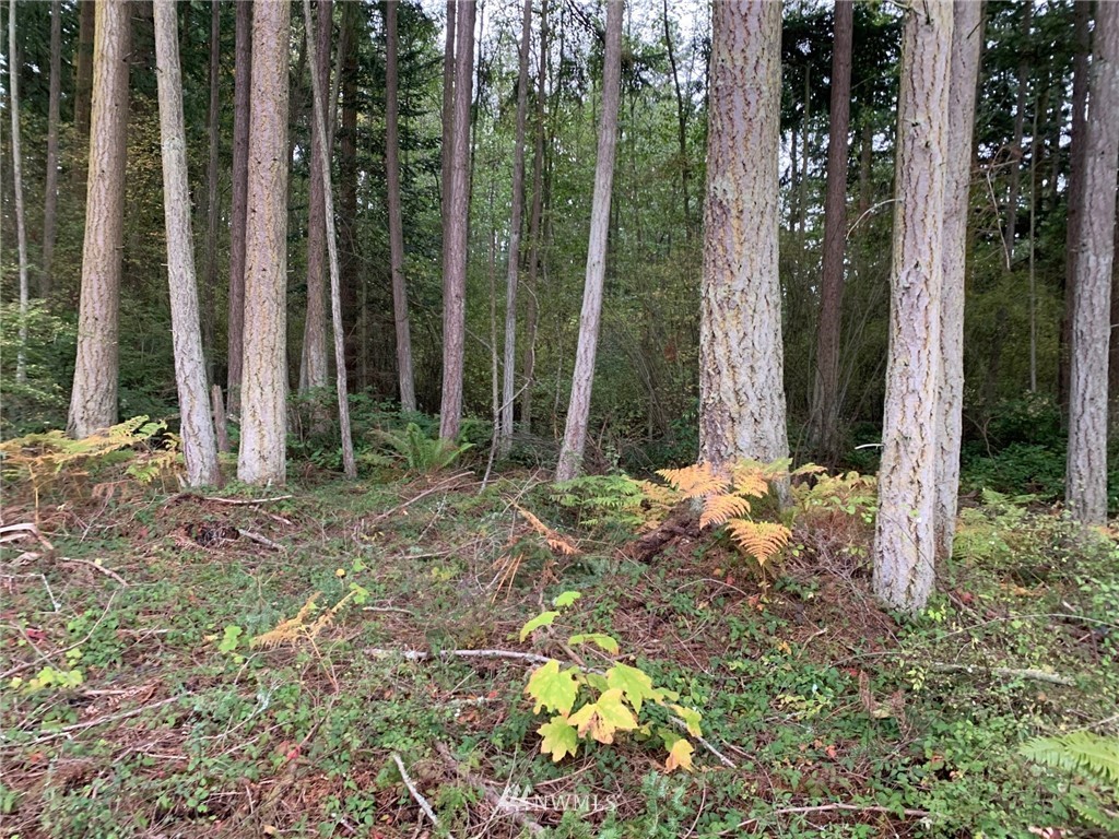 0 North Boon Road Oak Harbor, WA 98277 - Photo 1 of 9 Gallery Image 1