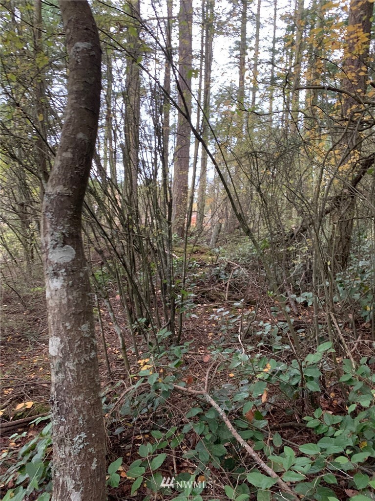 0 North Boon Road Oak Harbor, WA 98277 - Photo 3 of 9 Gallery Image 3