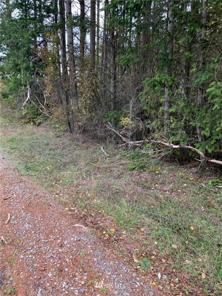 0 North Boon Road Oak Harbor, WA 98277 - Photo 5 of 9 Gallery Image 5