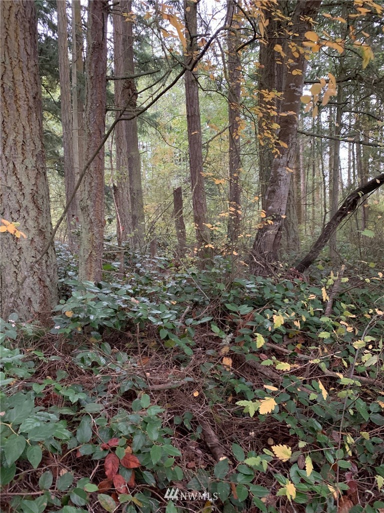 0 North Boon Road Oak Harbor, WA 98277 - Photo 8 of 9 Gallery Image 8