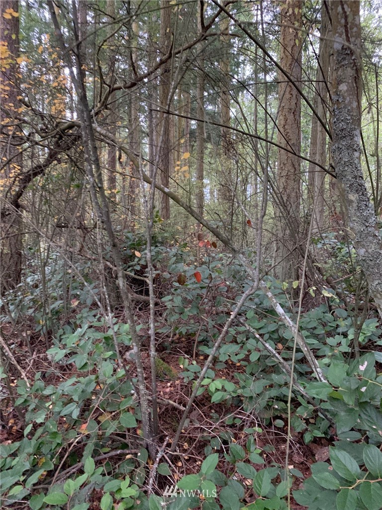0 North Boon Road Oak Harbor, WA 98277 - Photo 9 of 9 Gallery Image 9