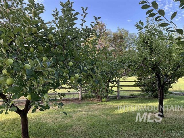 4778 River Road Buhl, ID 83316 - Photo 27 of 36