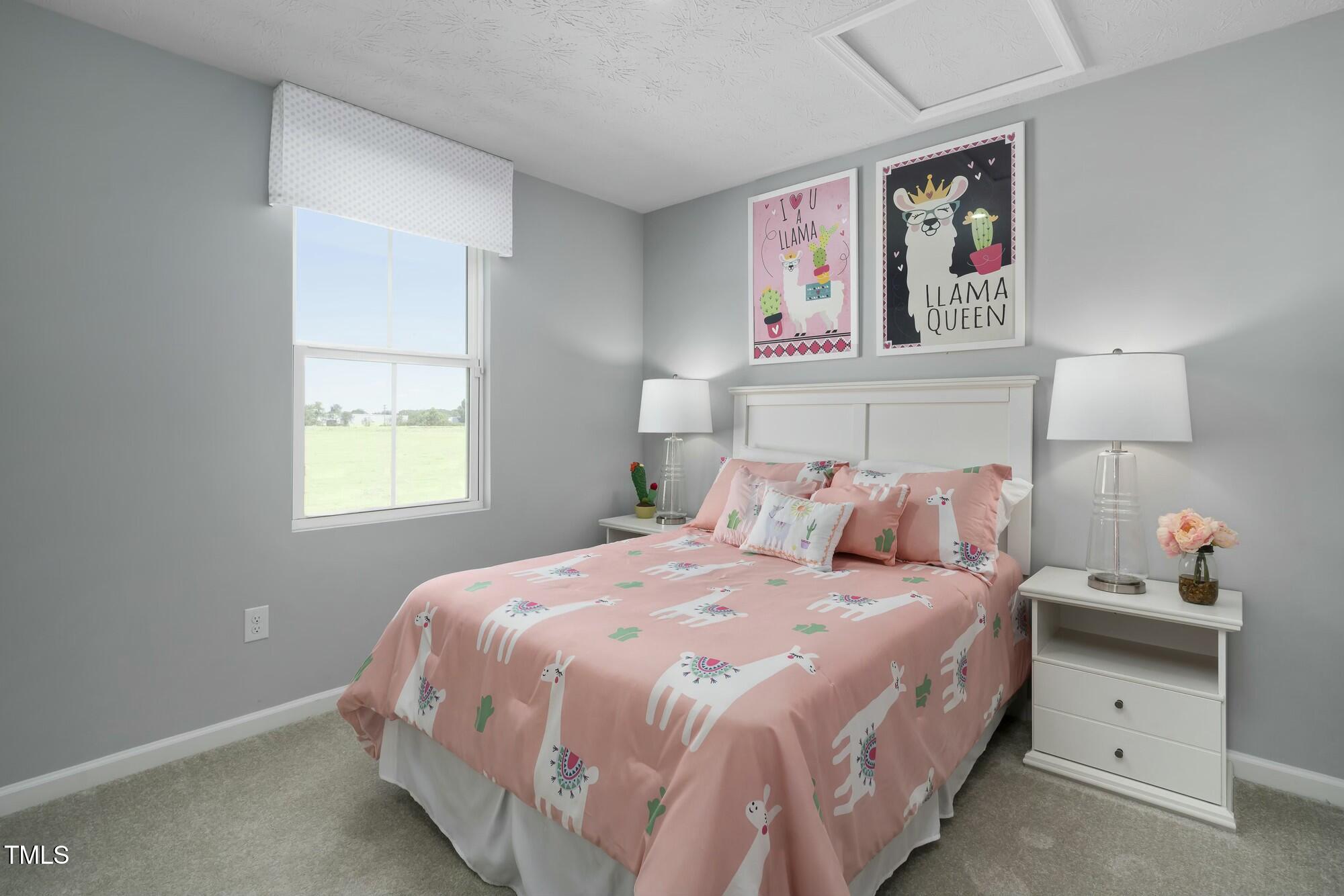 3941 Dragonfly Road Bailey, NC 27807 - Photo 12 of 12 tempImageTNnthm