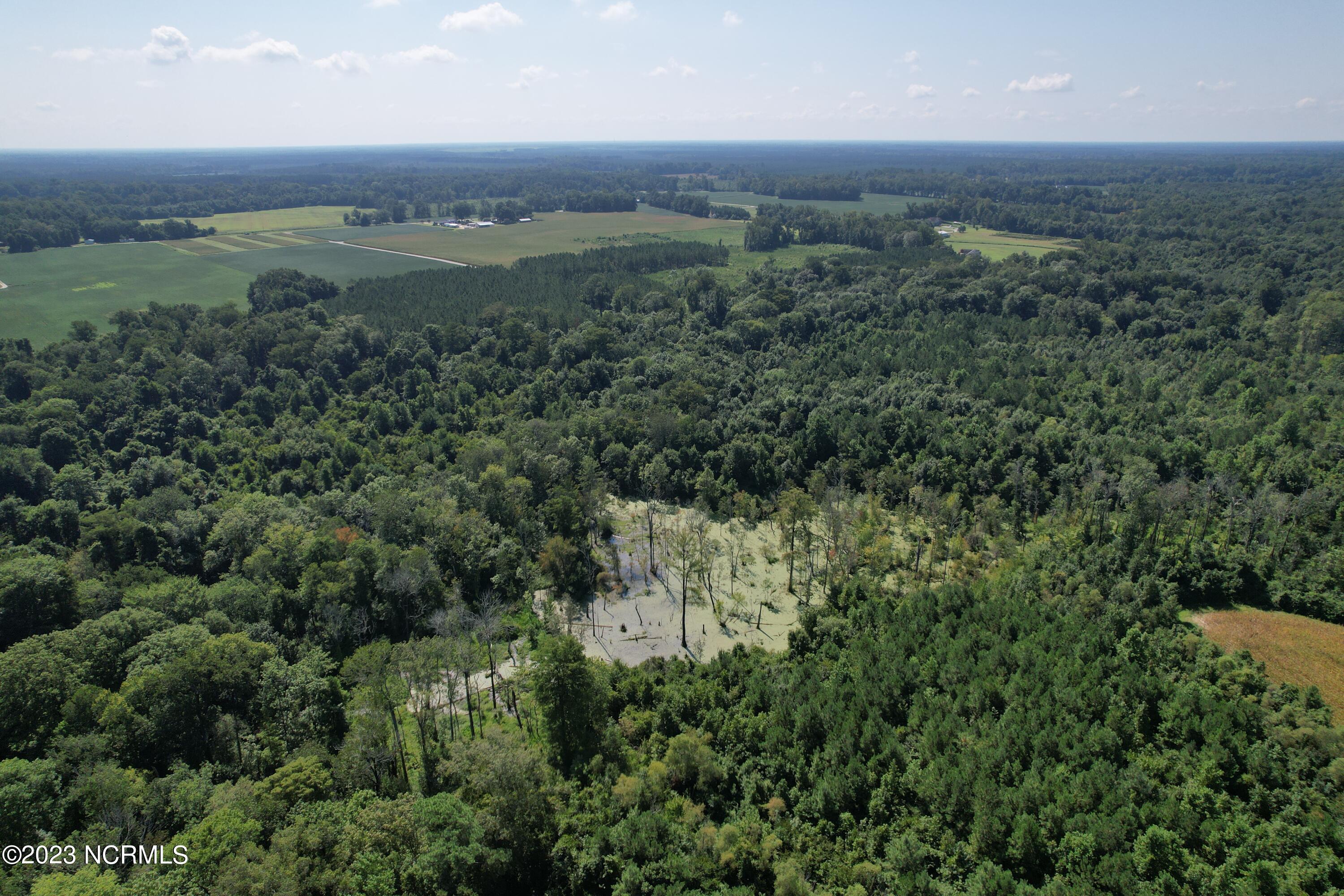 0 Wintergreen Road Cove City, NC 28523 - Photo 16 of 70 Wintergreen Road Road, Cove City
