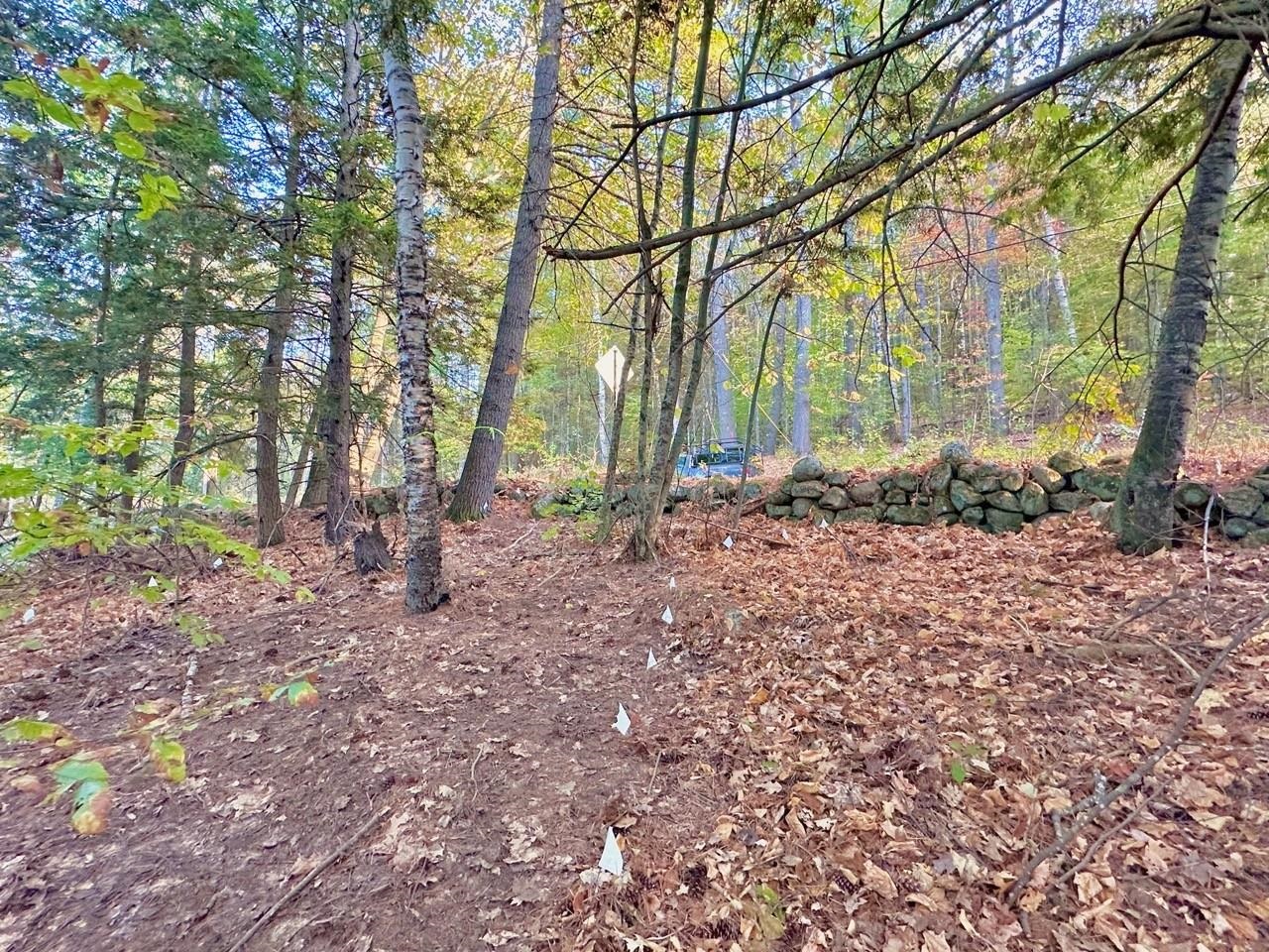 C100 Hodgeman Hill Road Campton, NH 03223 - Photo 12 of 15