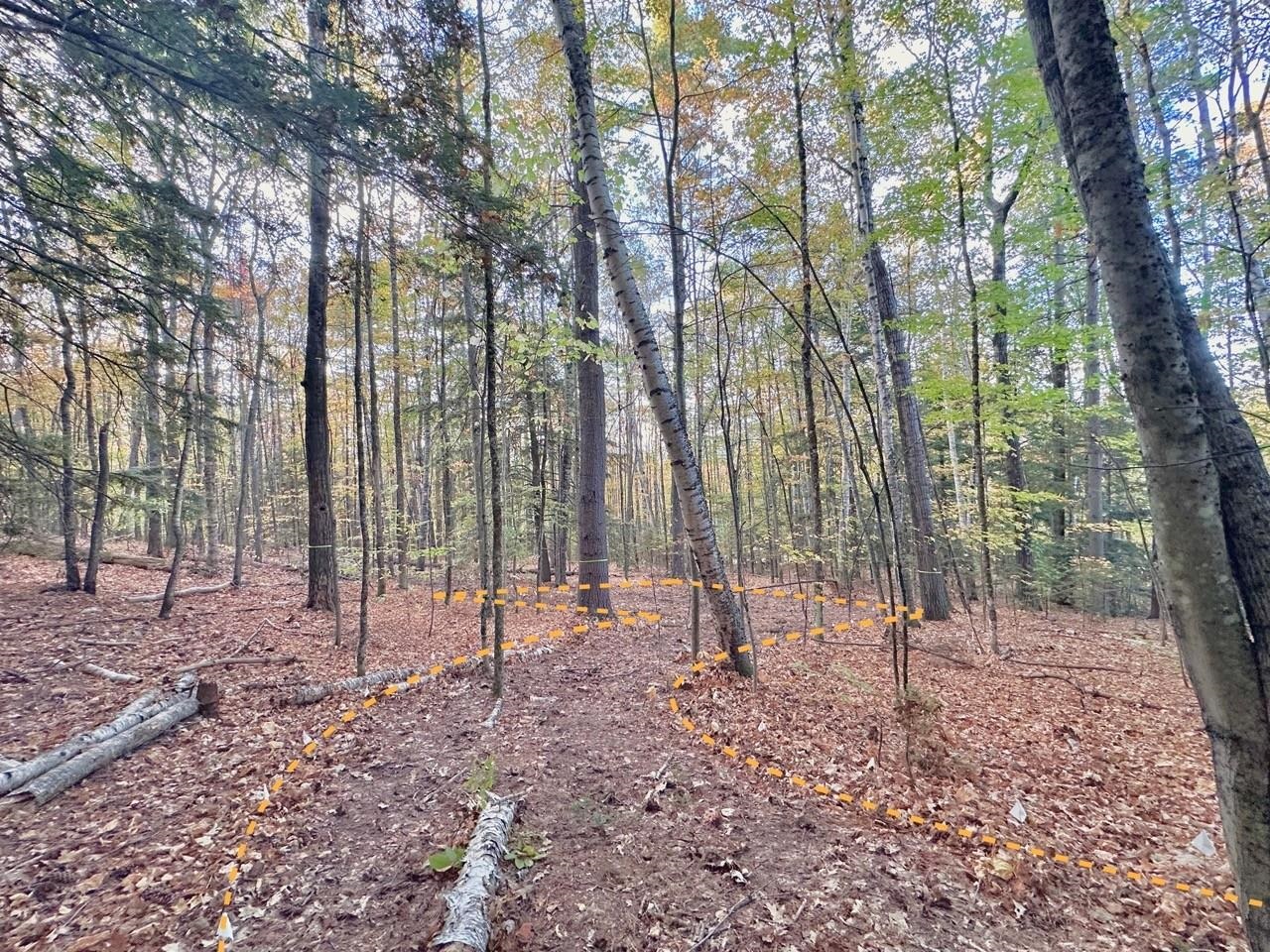 C100 Hodgeman Hill Road Campton, NH 03223 - Photo 3 of 15