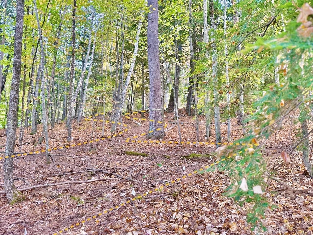 C100 Hodgeman Hill Road Campton, NH 03223 - Photo 4 of 15