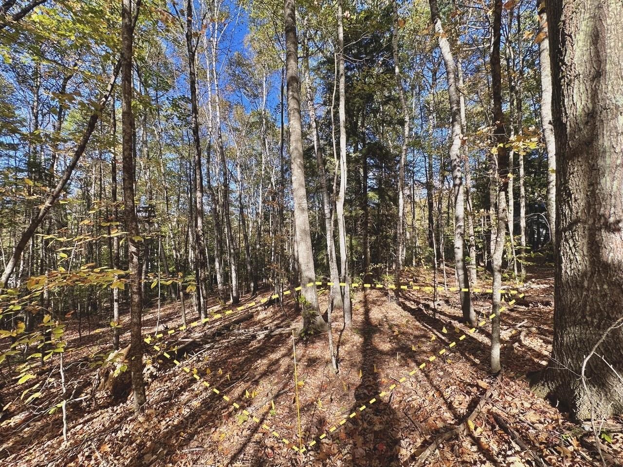 C100 Hodgeman Hill Road Campton, NH 03223 - Photo 5 of 15