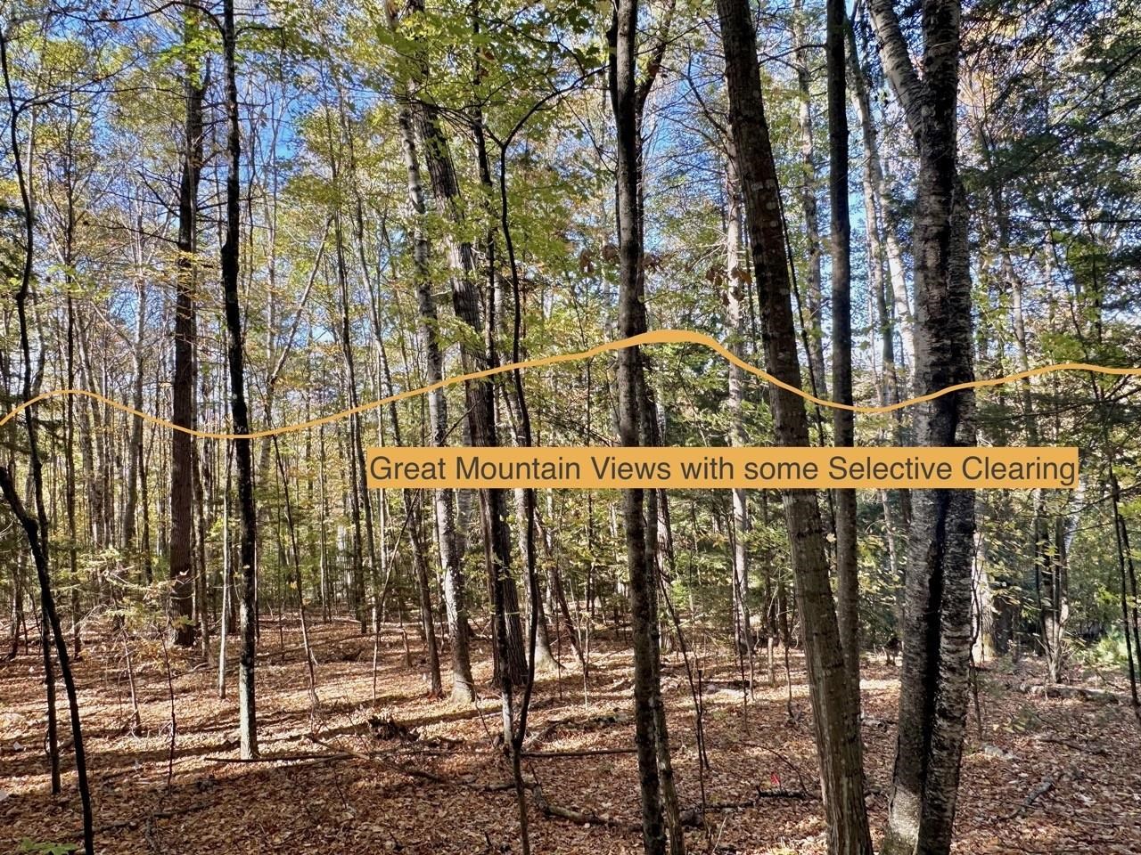 C100 Hodgeman Hill Road Campton, NH 03223 - Photo 6 of 15