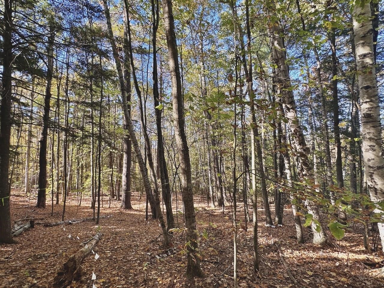 C100 Hodgeman Hill Road Campton, NH 03223 - Photo 7 of 15