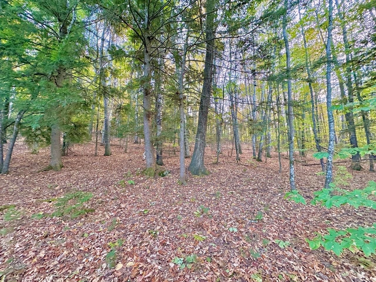 C100 Hodgeman Hill Road Campton, NH 03223 - Photo 8 of 15