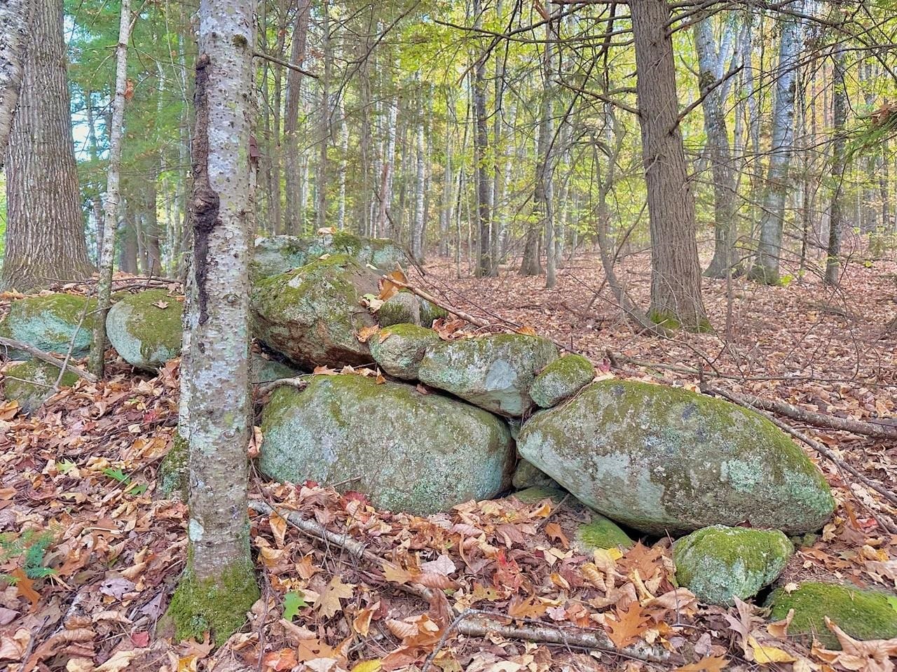 C100 Hodgeman Hill Road Campton, NH 03223 - Photo 9 of 15